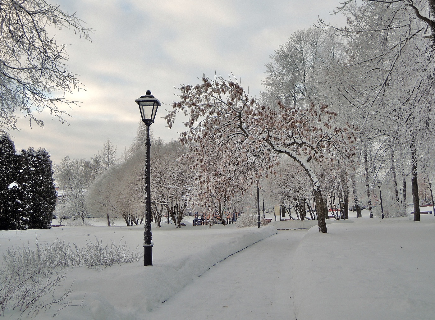 подарила Зима сказку