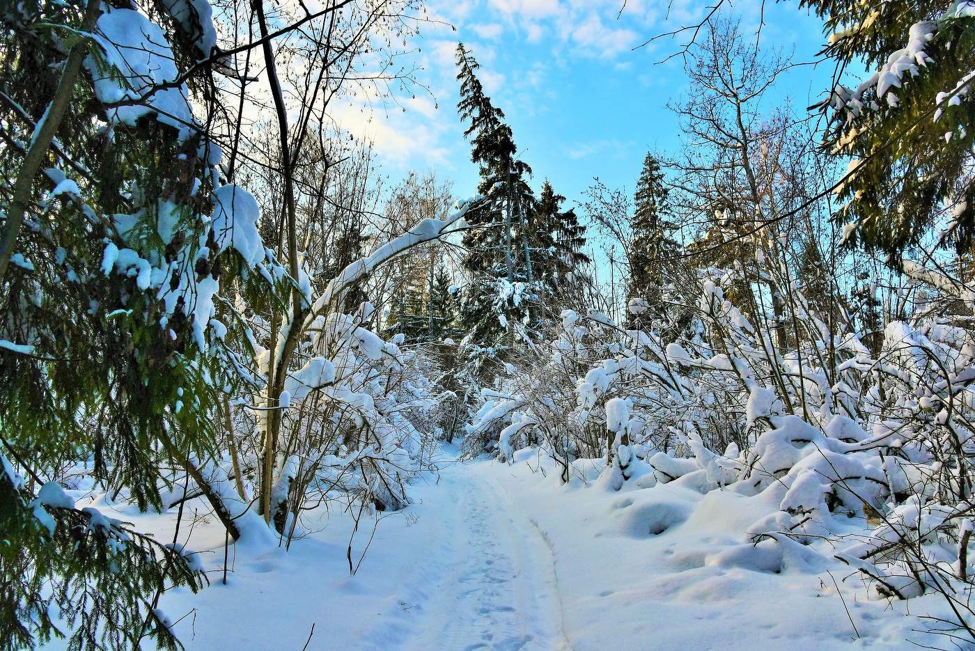 "Заколдован невидимкой, дремлет лес под скуку сна..."