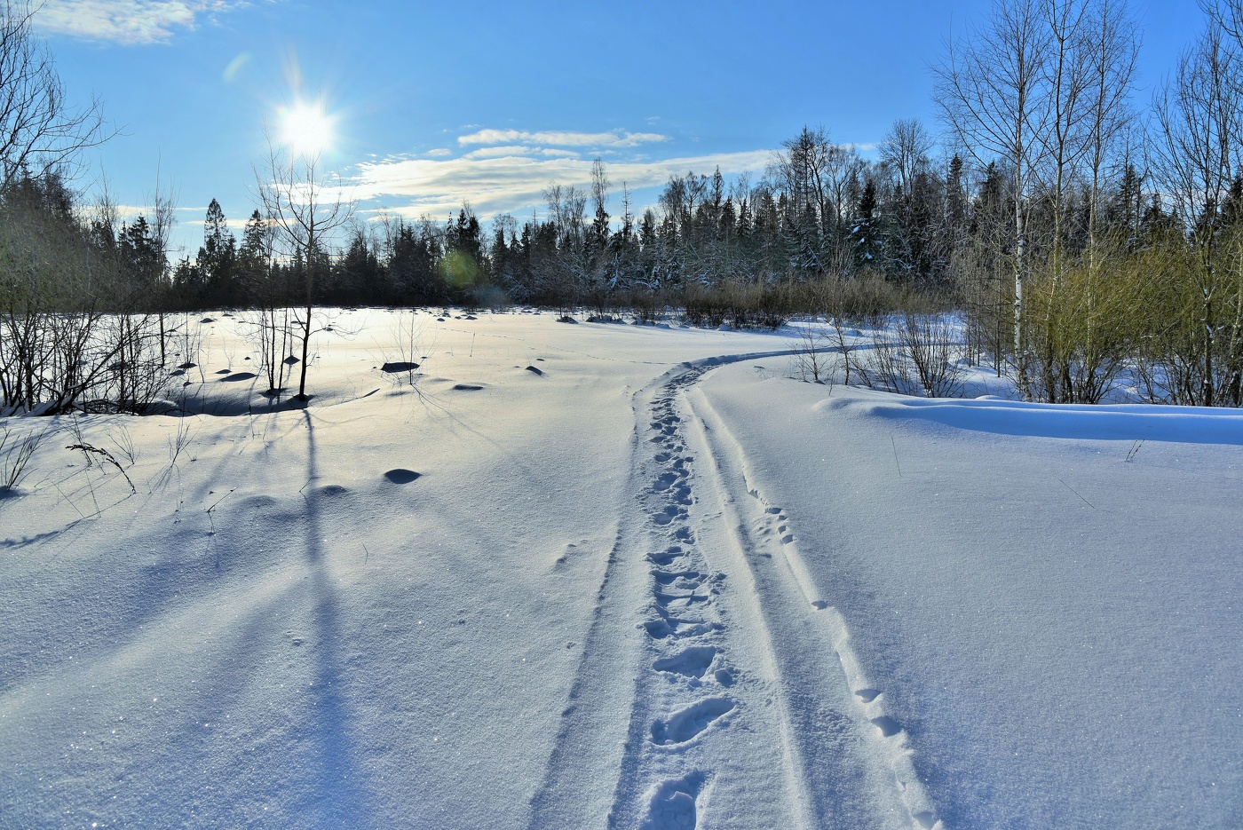 "Однажды в студеную, зимнюю пору я из лесу вышел..."