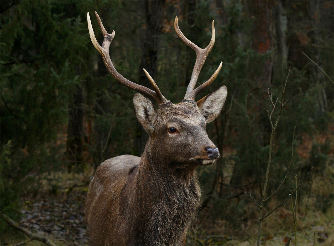 Неожиданная встреча.