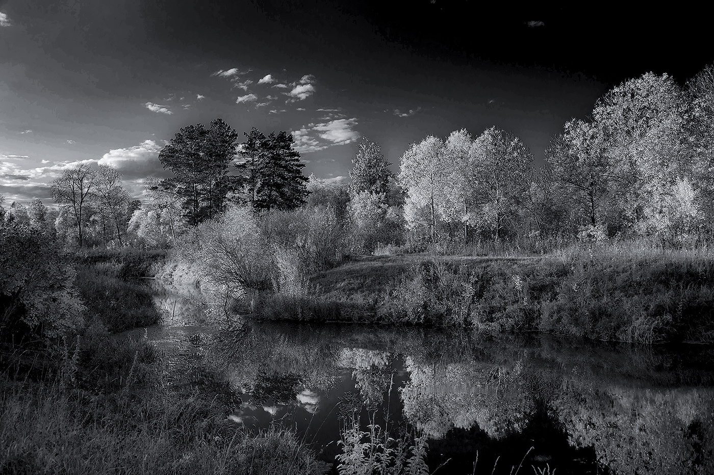 Черно-белый сентябрь