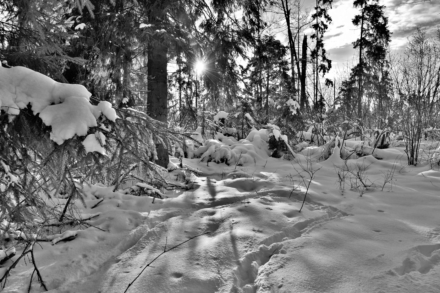 "Мороз и солнце - день чудесный ...."