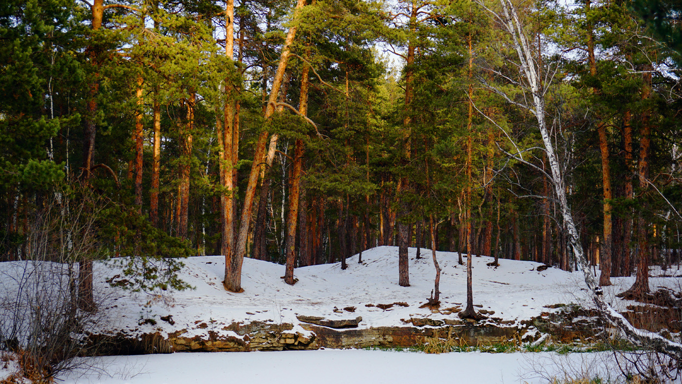 У зимнего пруда