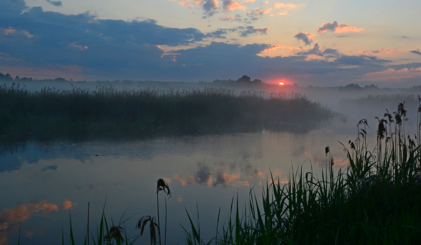 Туманность летнего утра