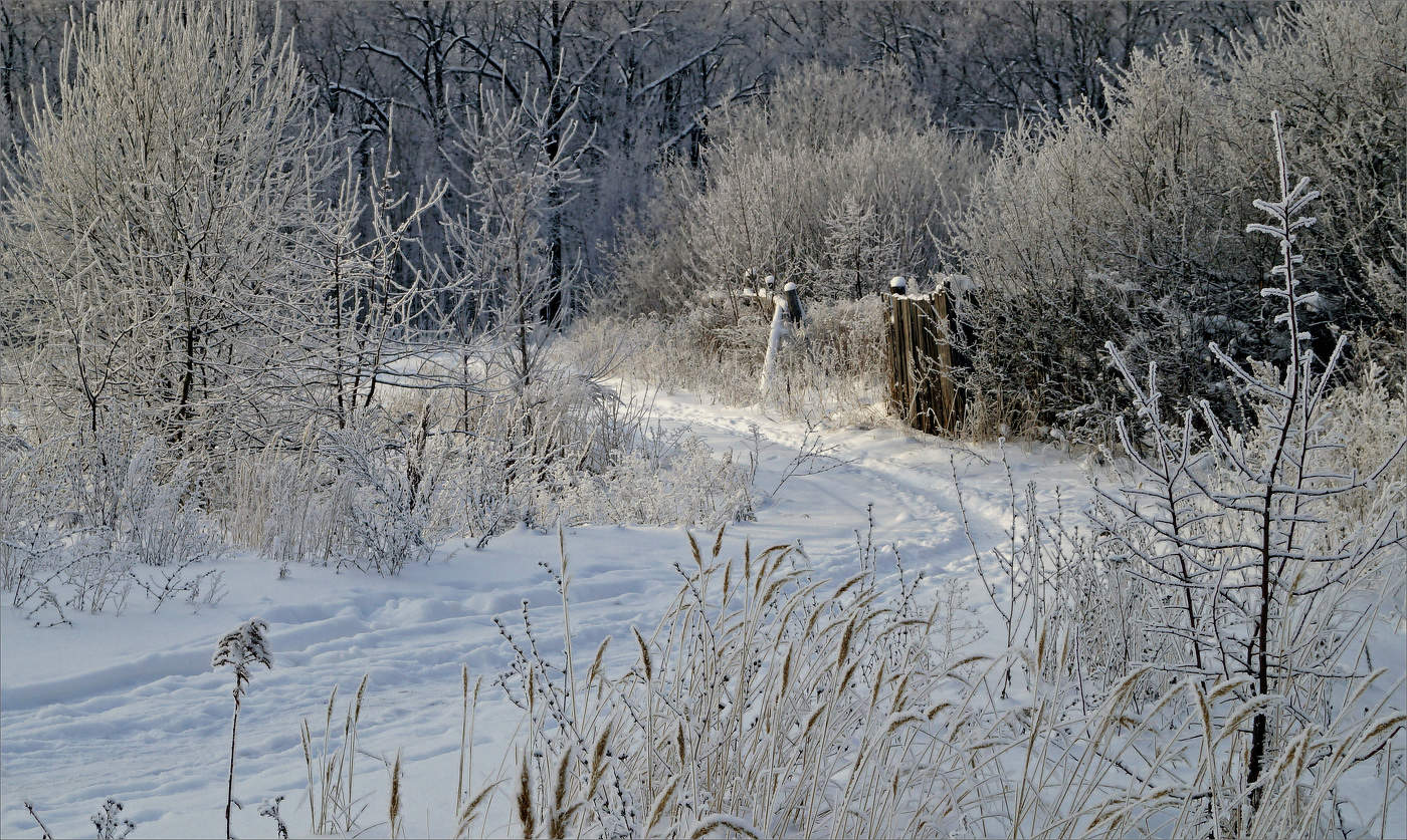 Зимняя тропинка