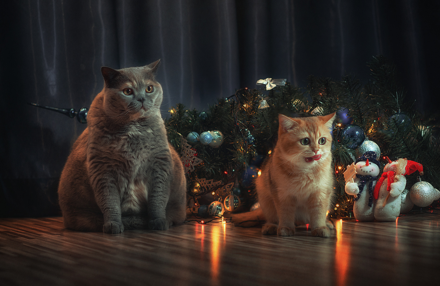 ...кАлянусь это всё Рыжая...!)