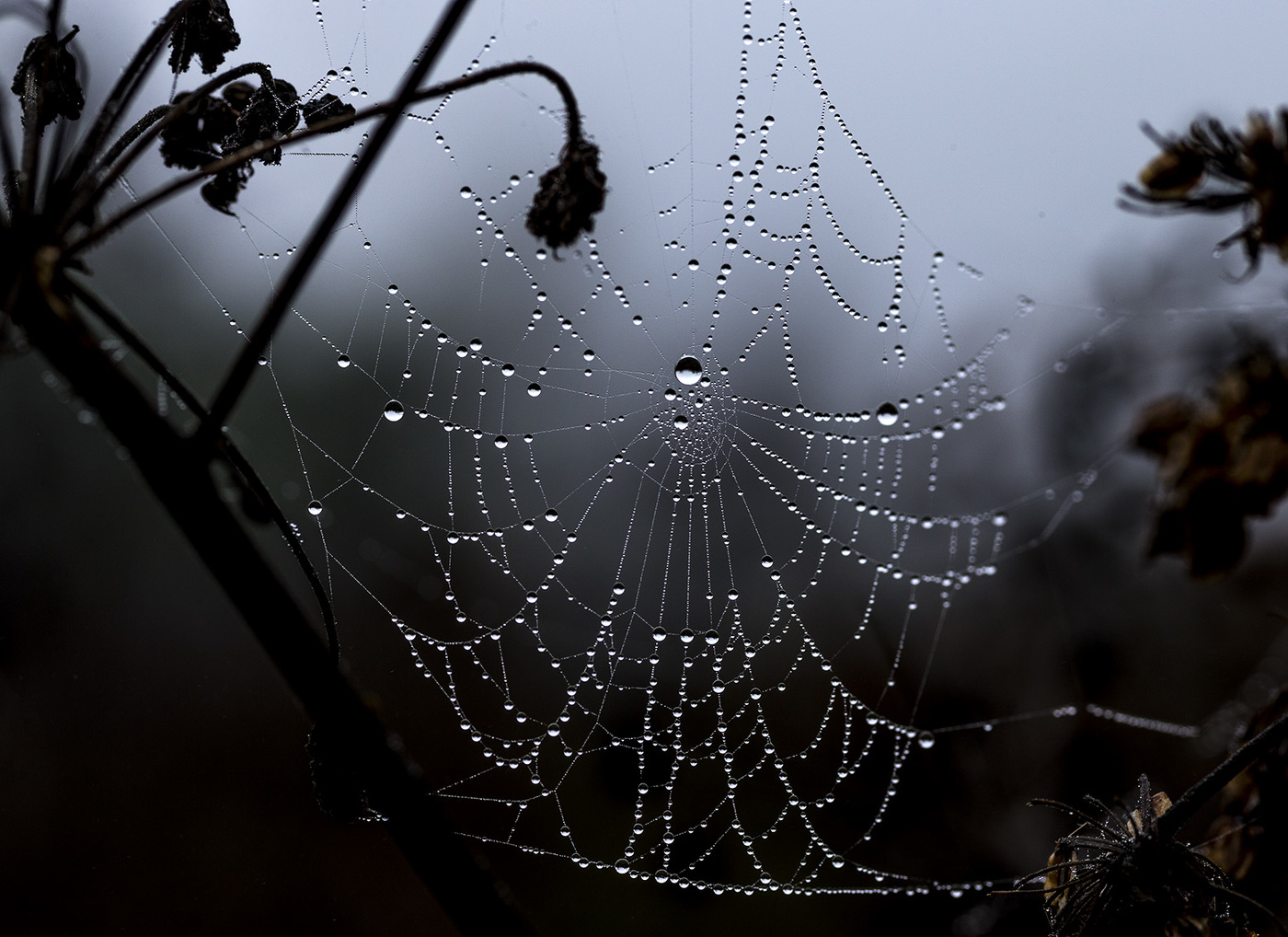 Не солнечная система