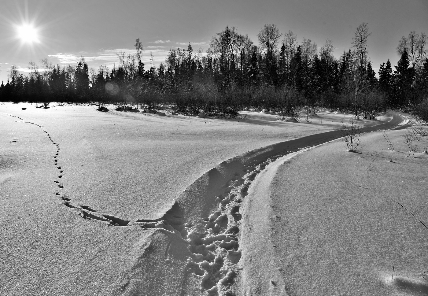 Зимние стежки - дорожки ...