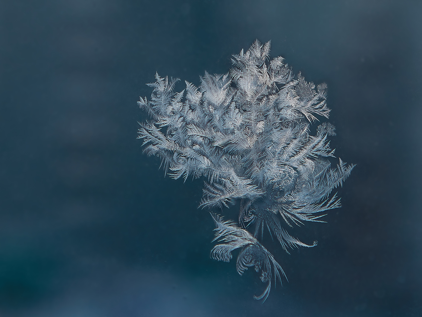 узоры на стекле...