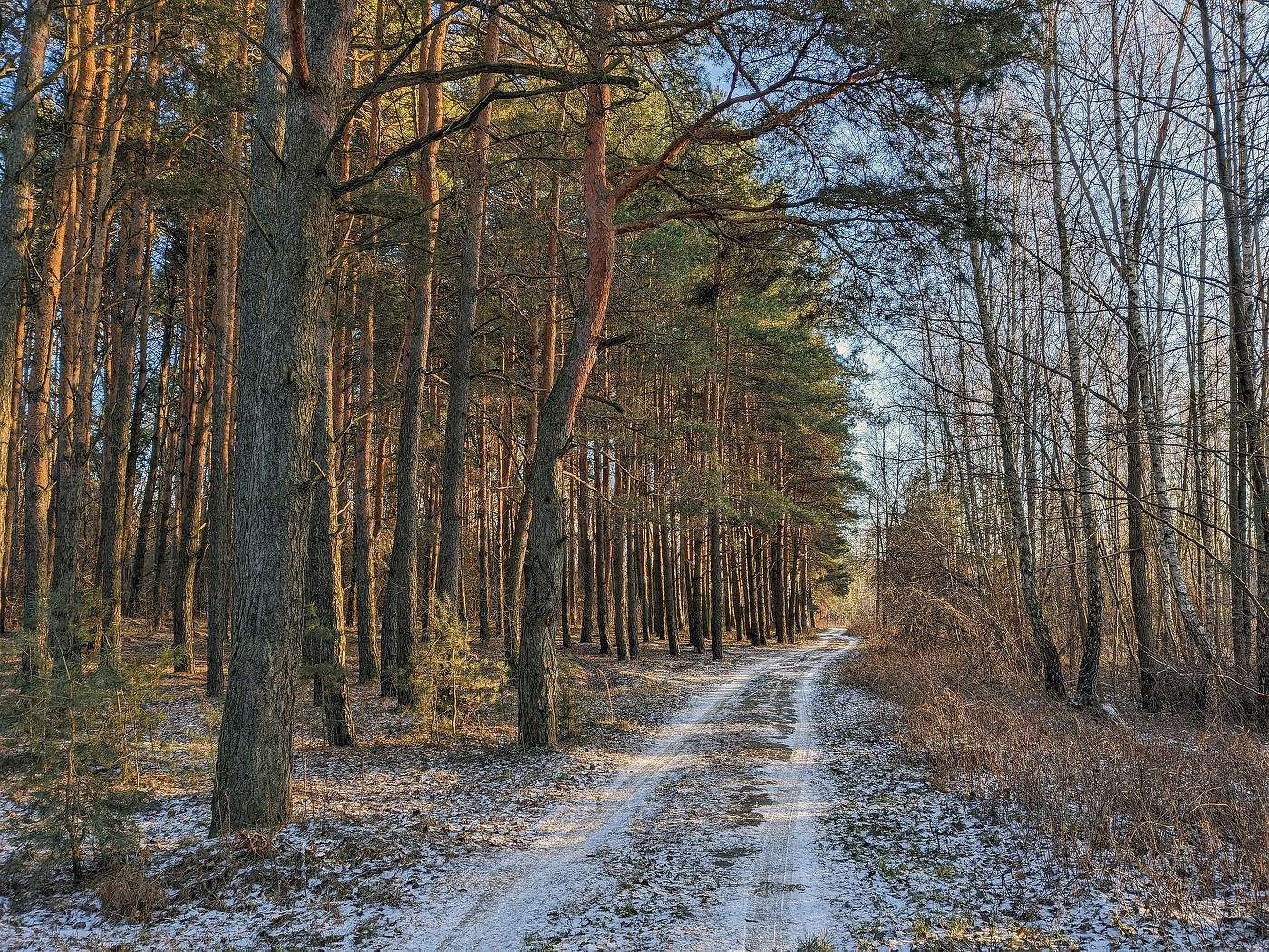 Winter-Straße