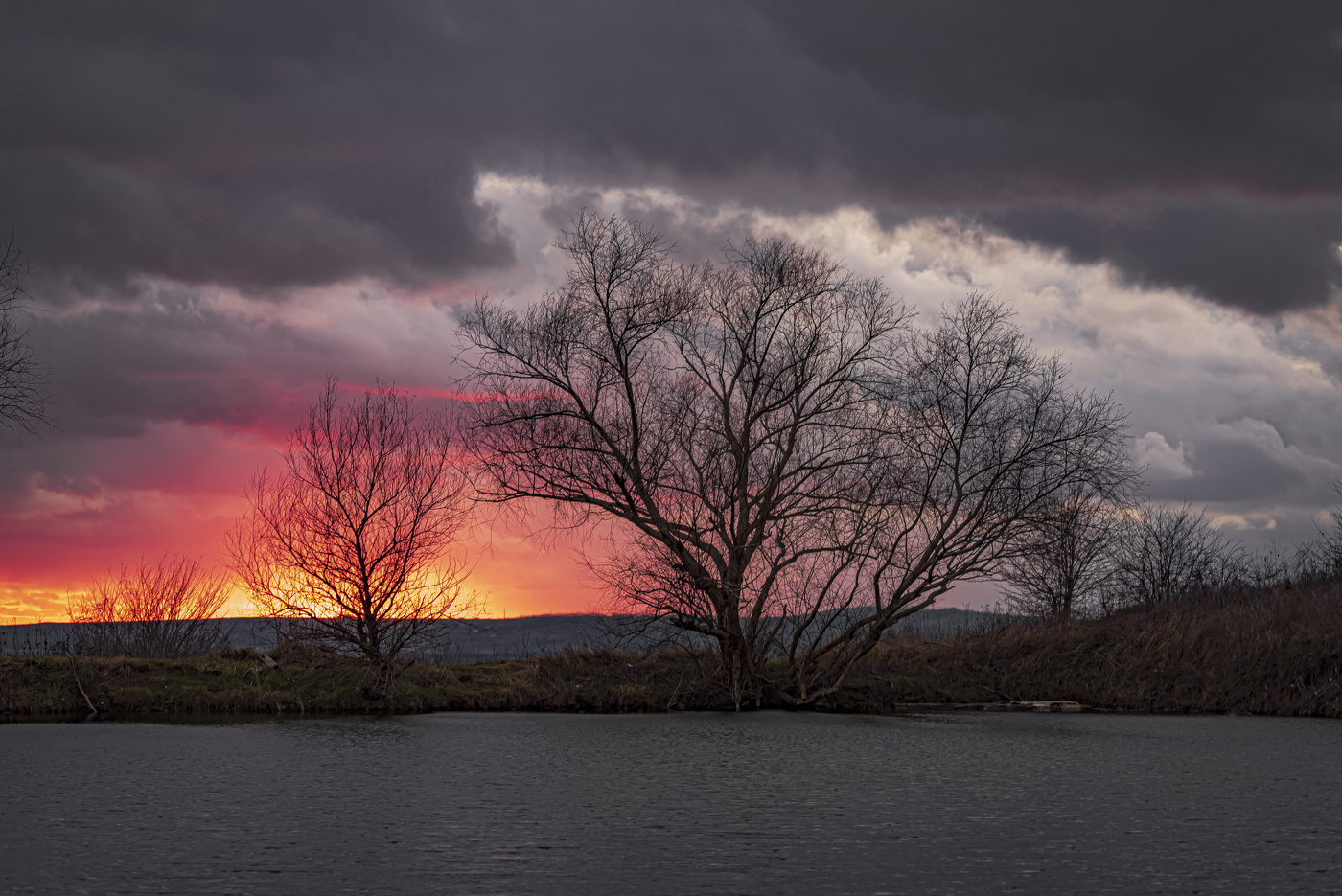 Южный зимний вечер