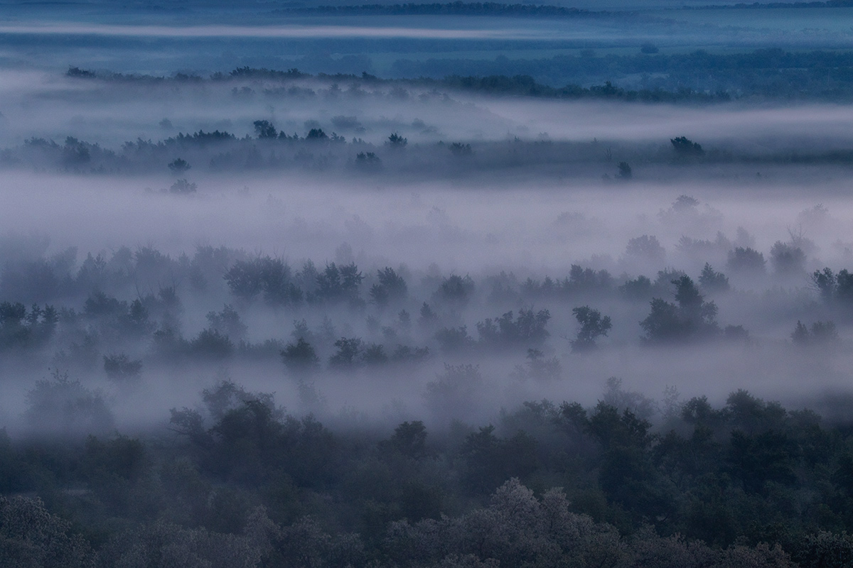 Расстелился под утро туман