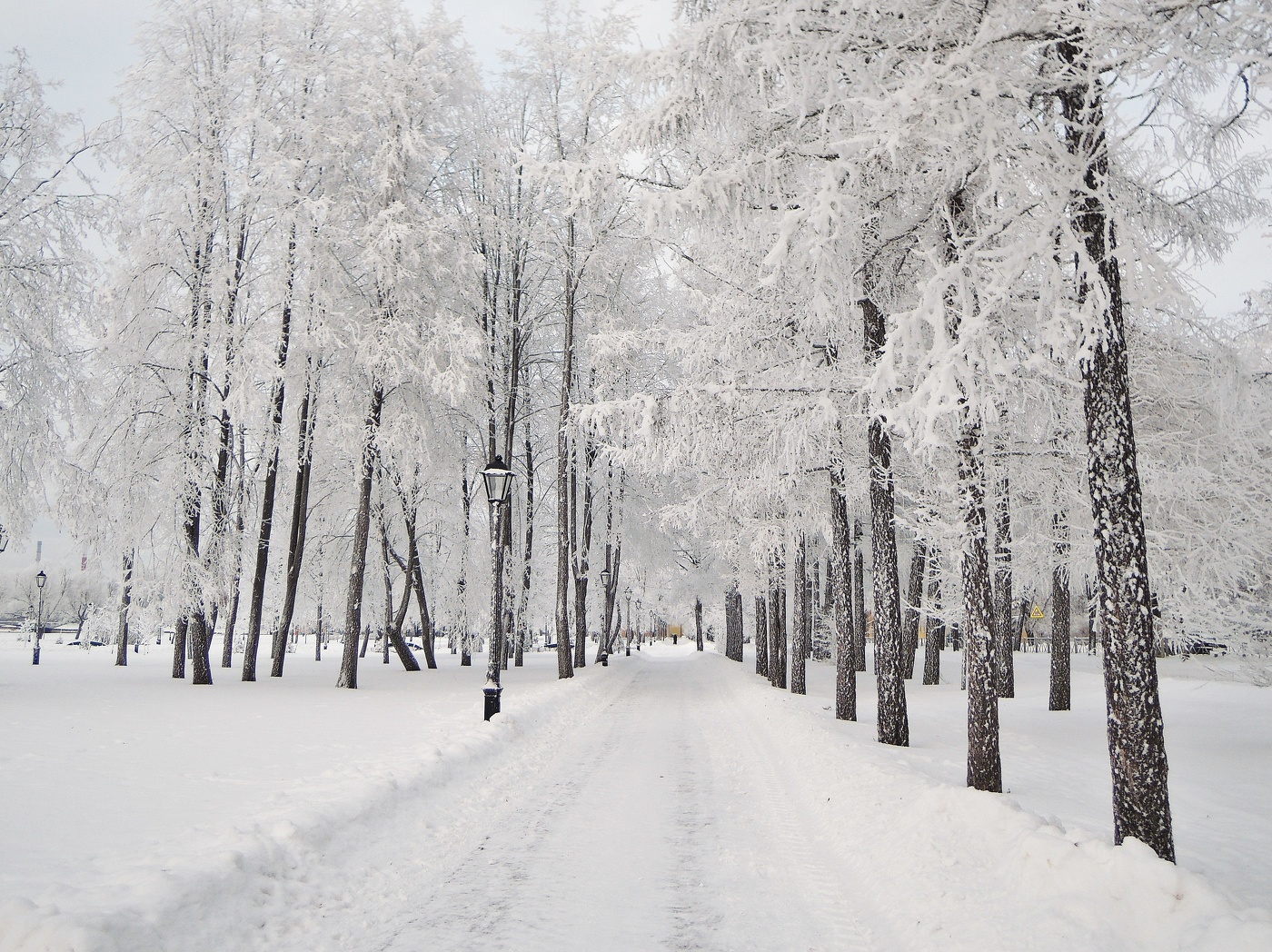 сНежности Зимы