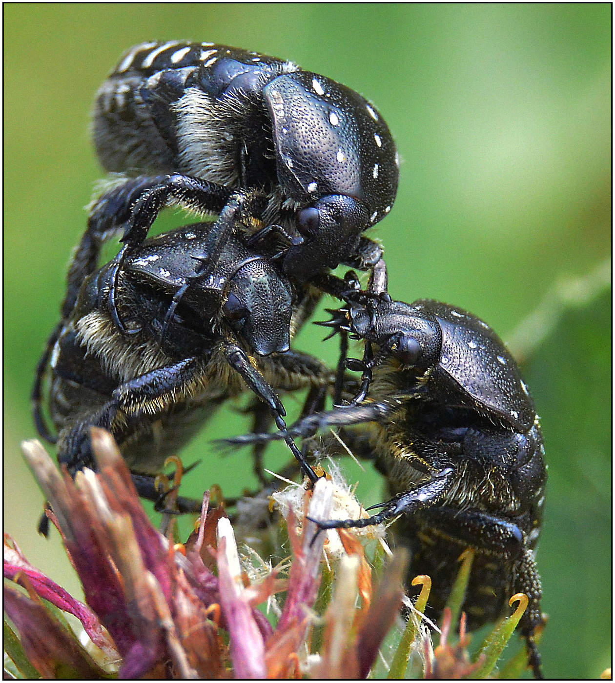 Трудный разговор.
