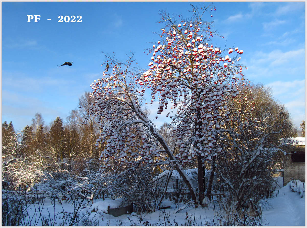 Sonnenaufgang über dem Fluss