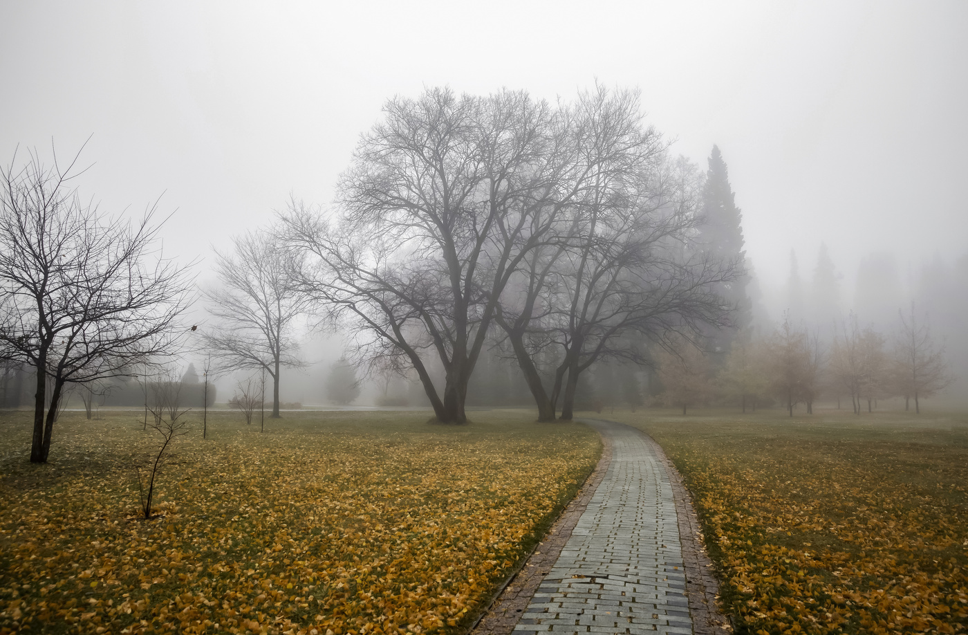 Осенним утром