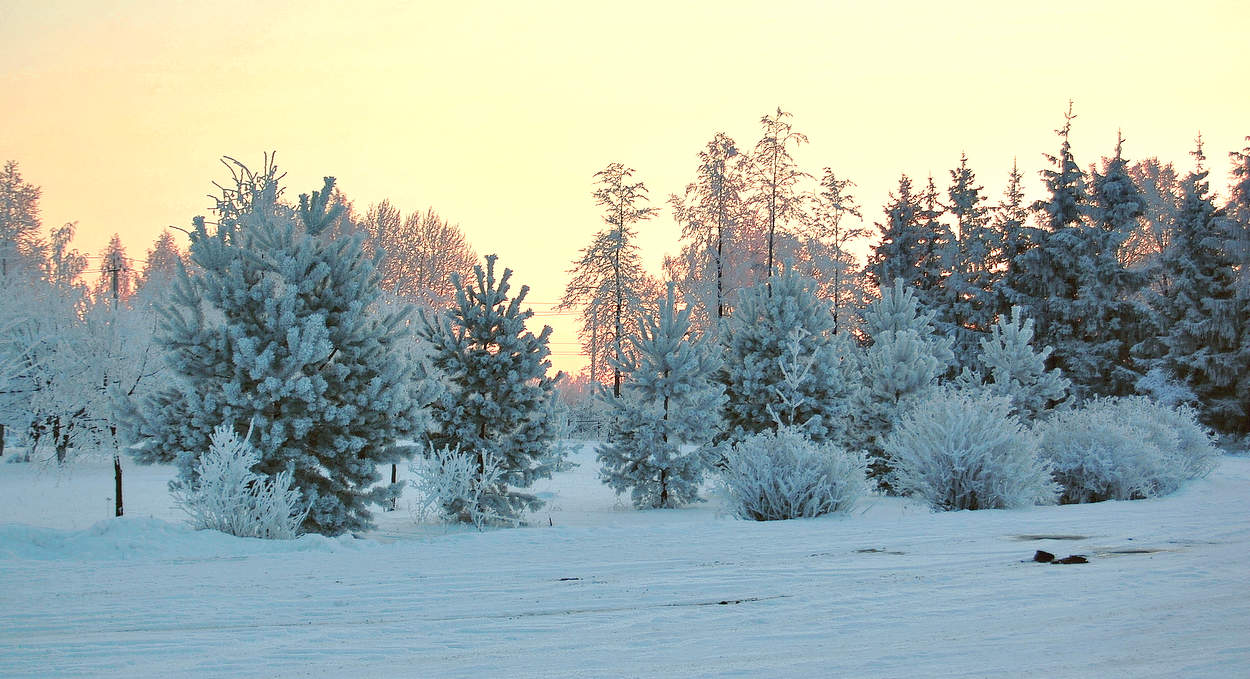 Праздничный вечер