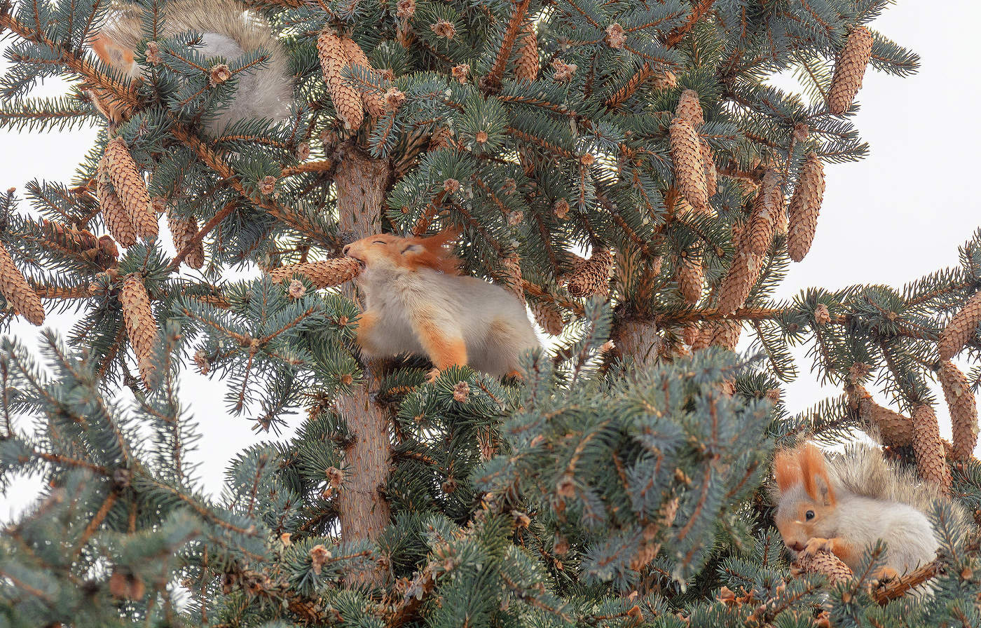 тоже охота..