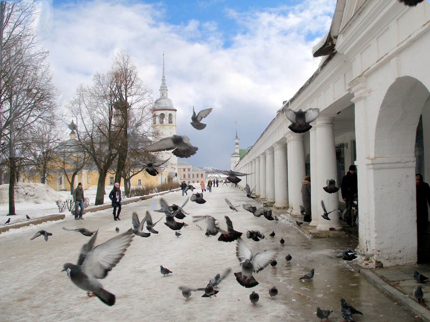 Утренняя перспектива...