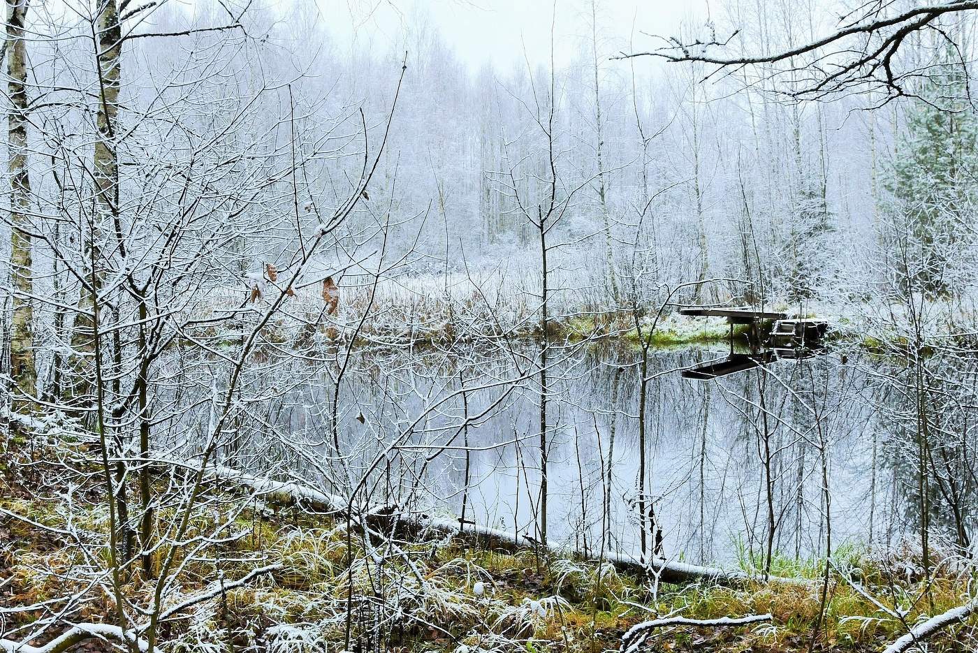 "Деревья инеем покрыты и лес, понурившись, стоит..."