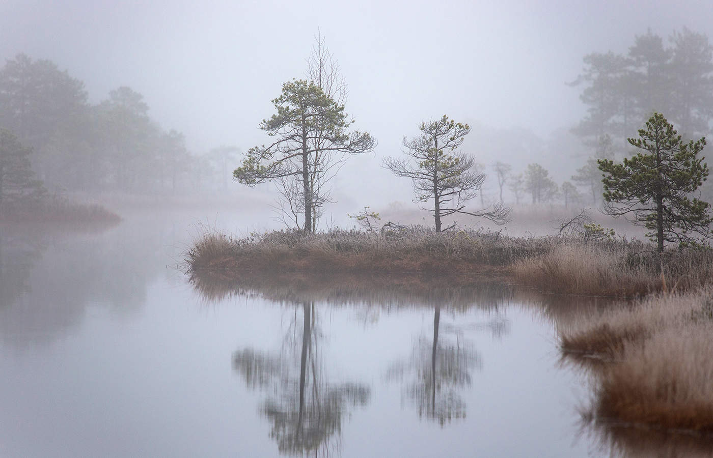Поздняя осень