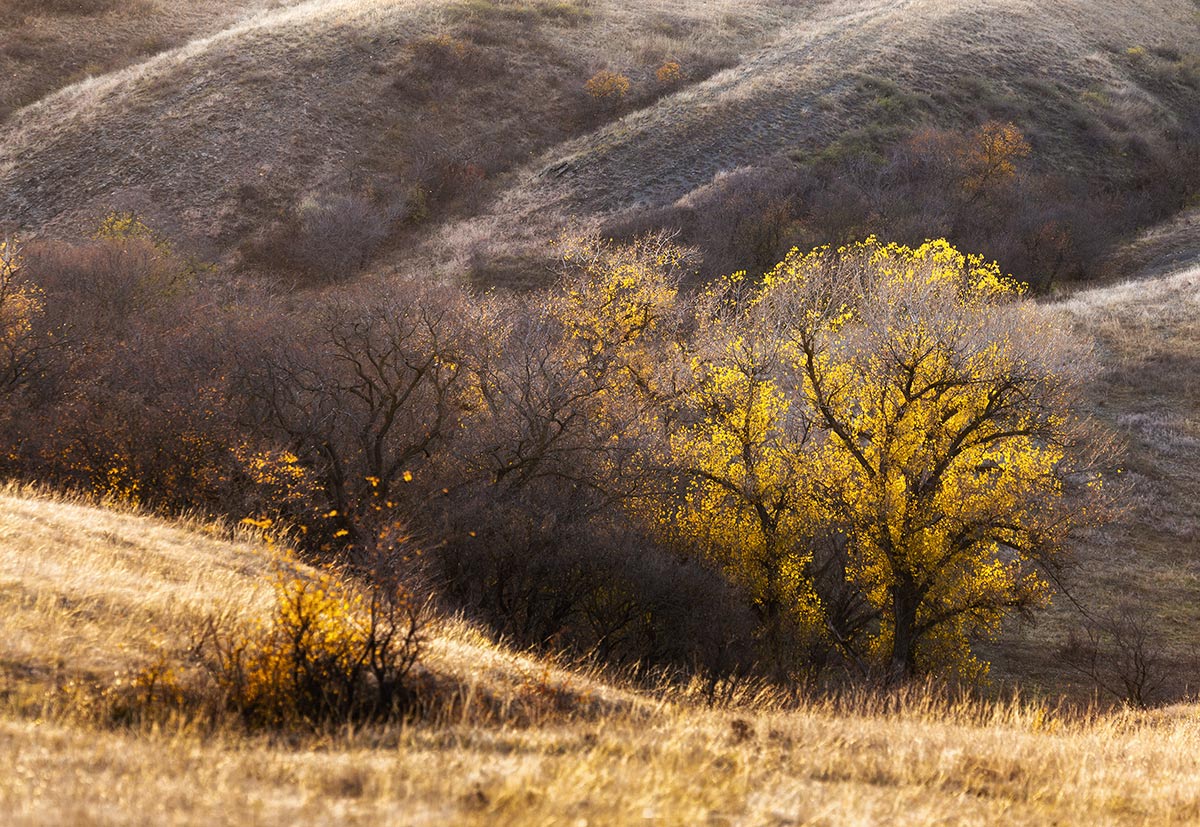 Октябрь в Кириковой балке