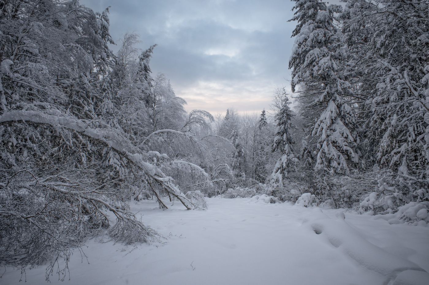 в снежном плену