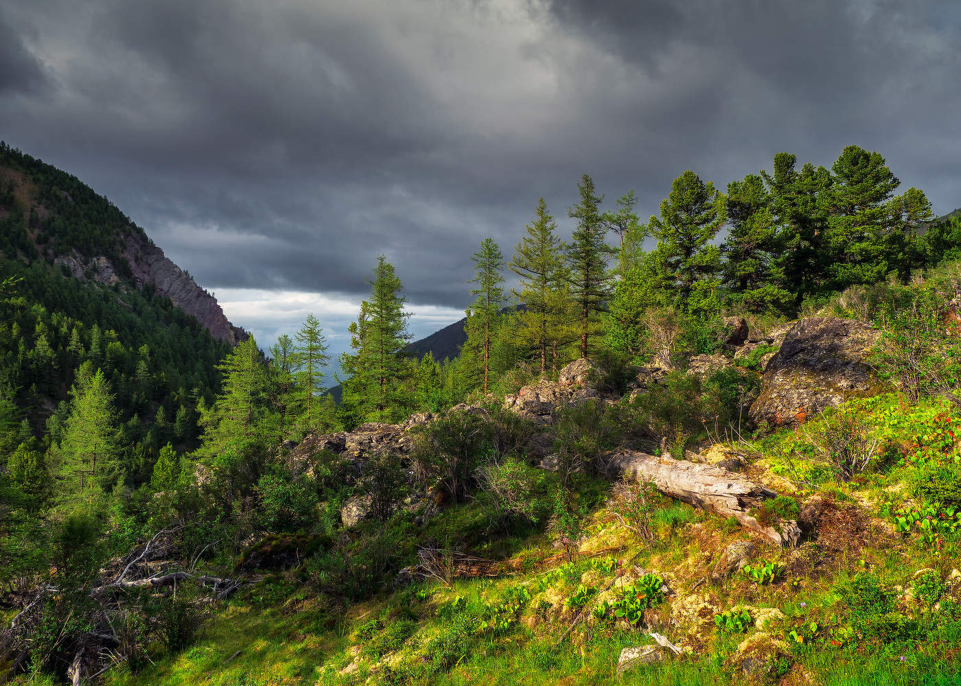 Волшебная природа русской сказки. Алтайская глубинка. Актру.