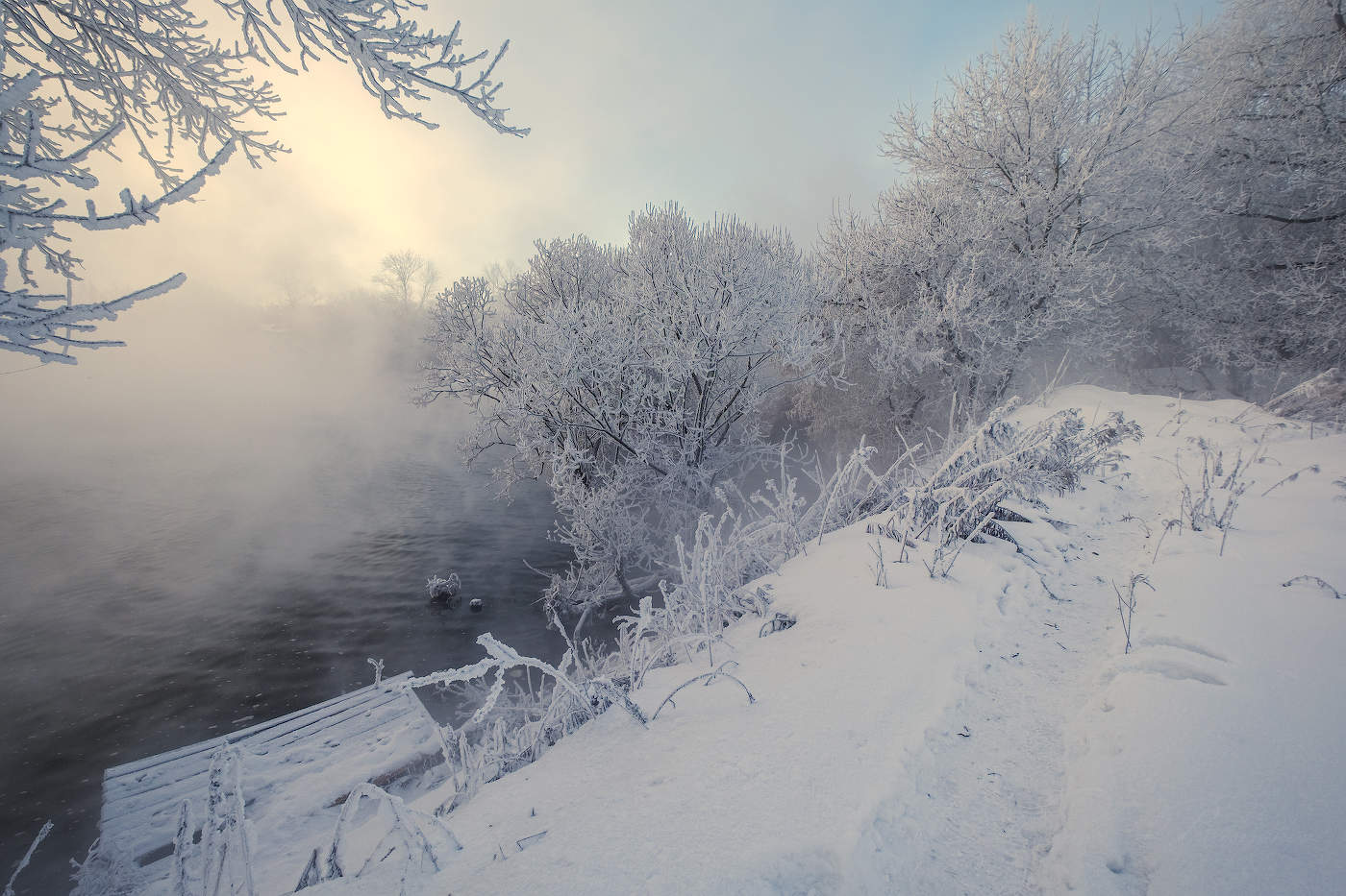 Тропинка в зимний туман