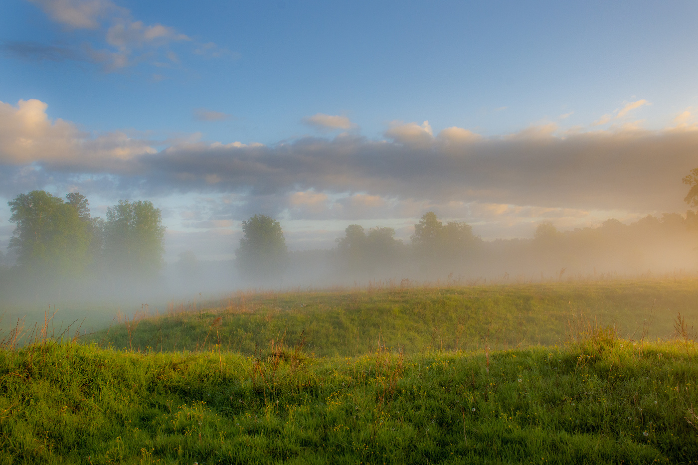 Июньский туман