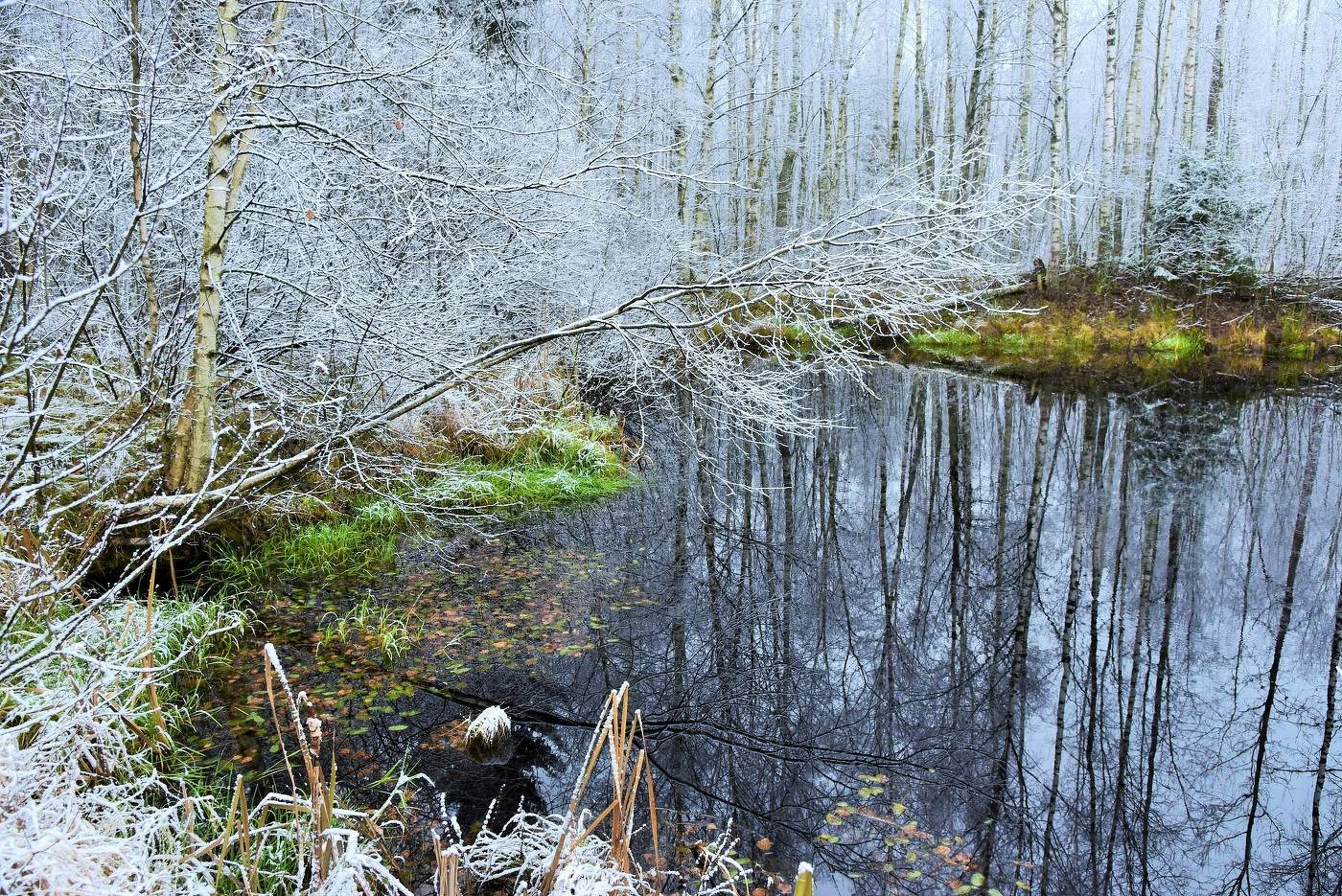 "Как перед зеркалом блудница, осень поздняя томится..."