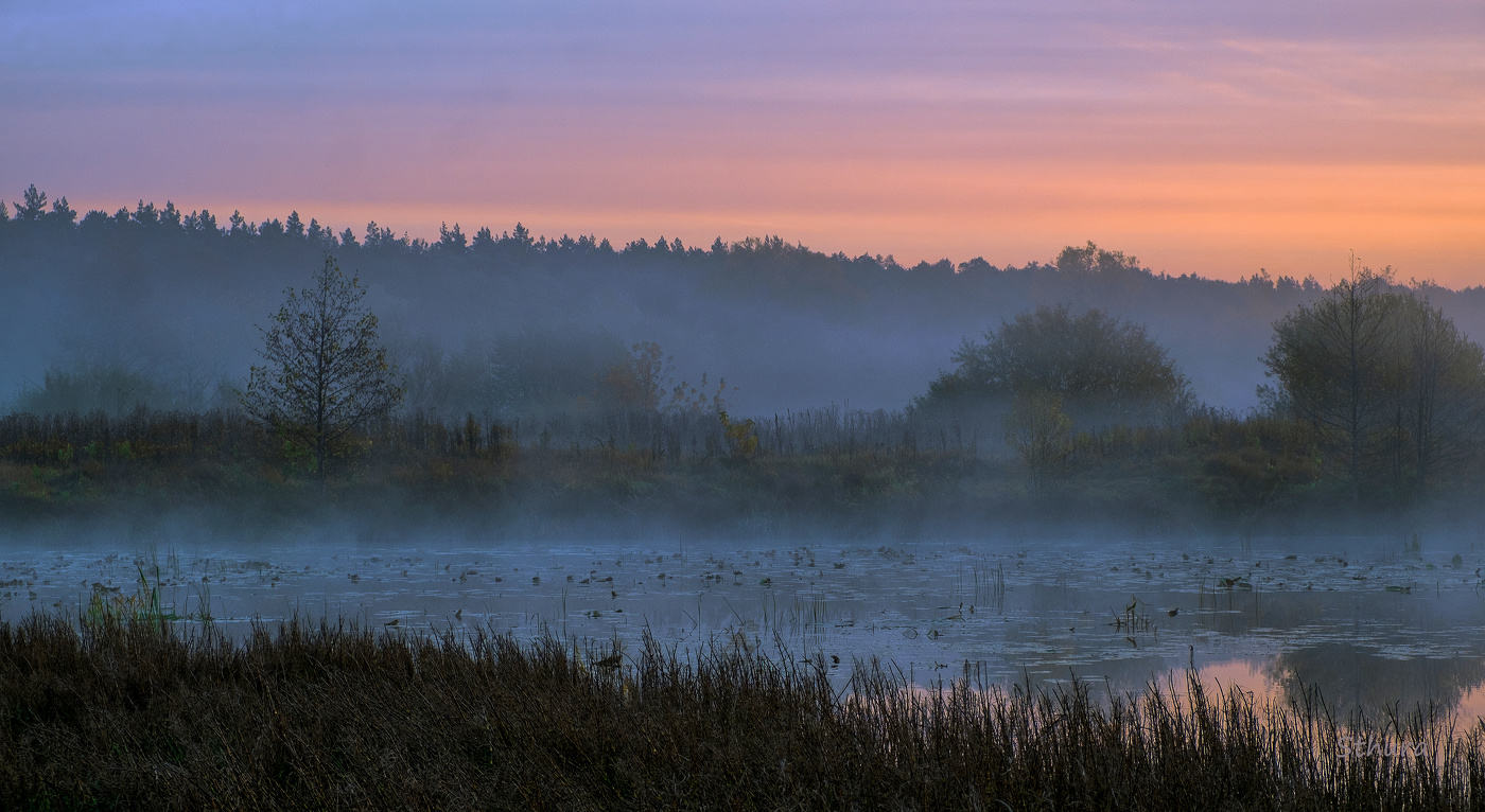 Утренний сон.