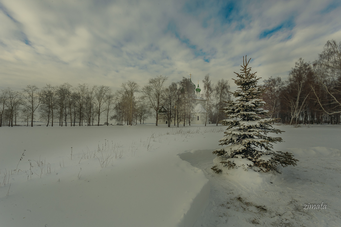 зимняя прогулка