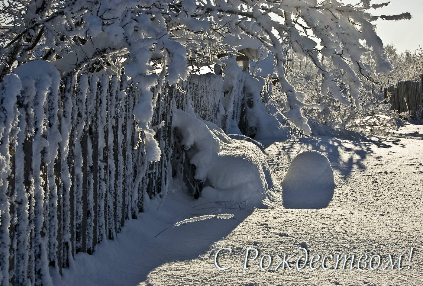 С Рождеством, мои дорогие!