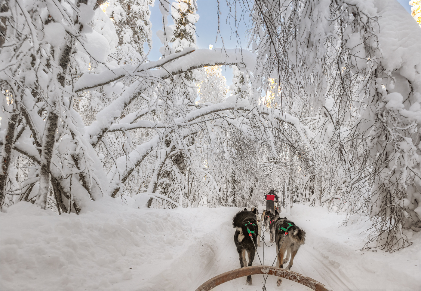 Покатушки (2)