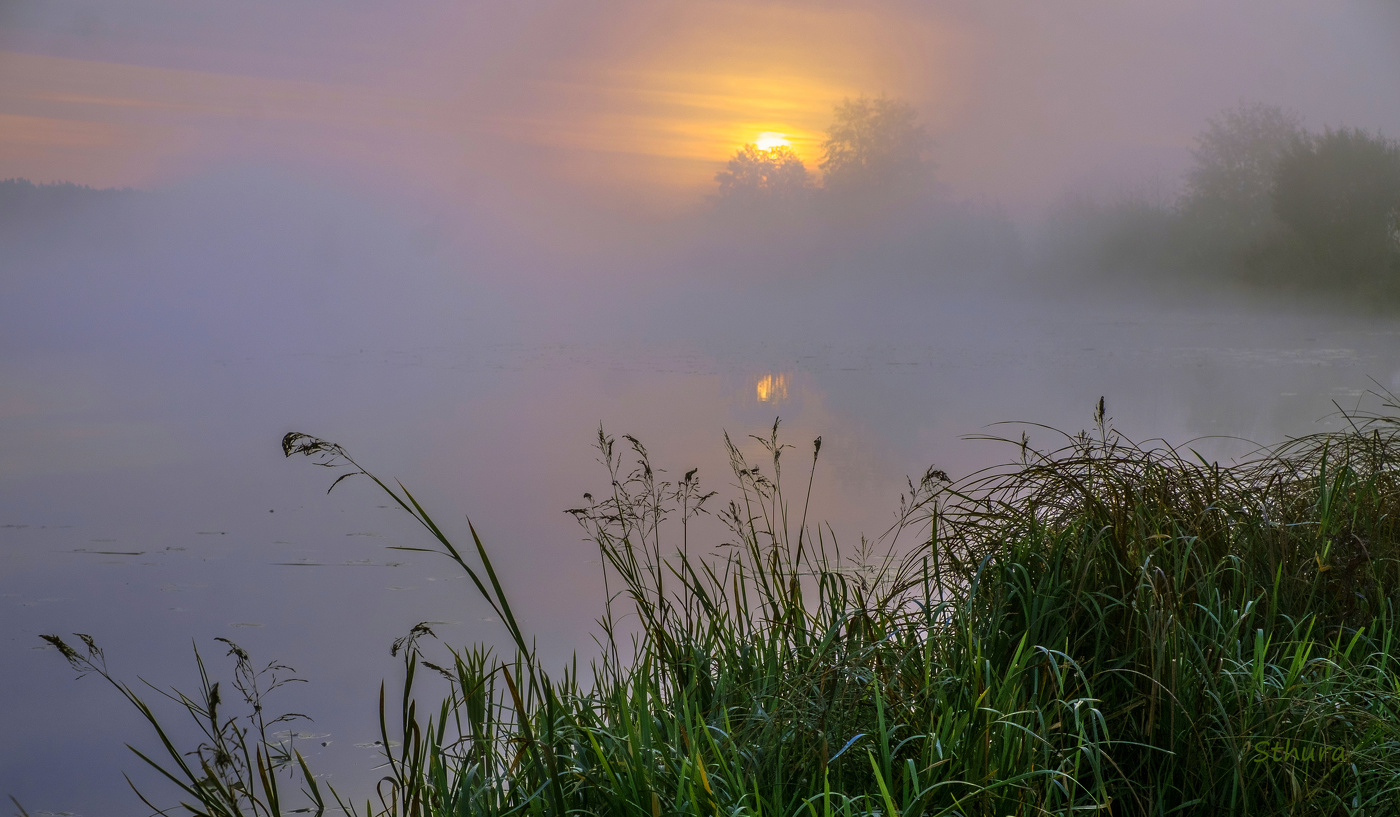 Туманный пейзаж.