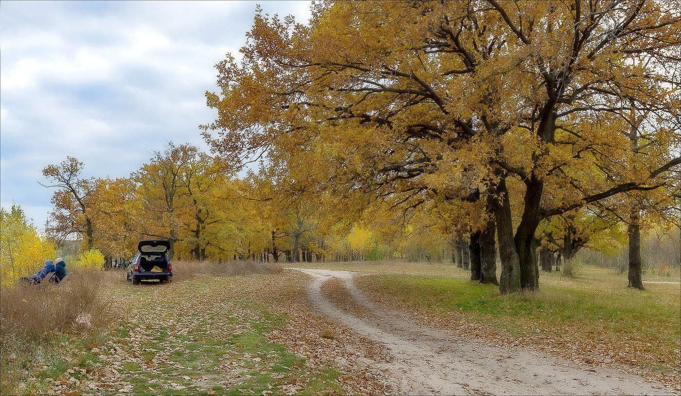 Давай опять умчимся в Лето...