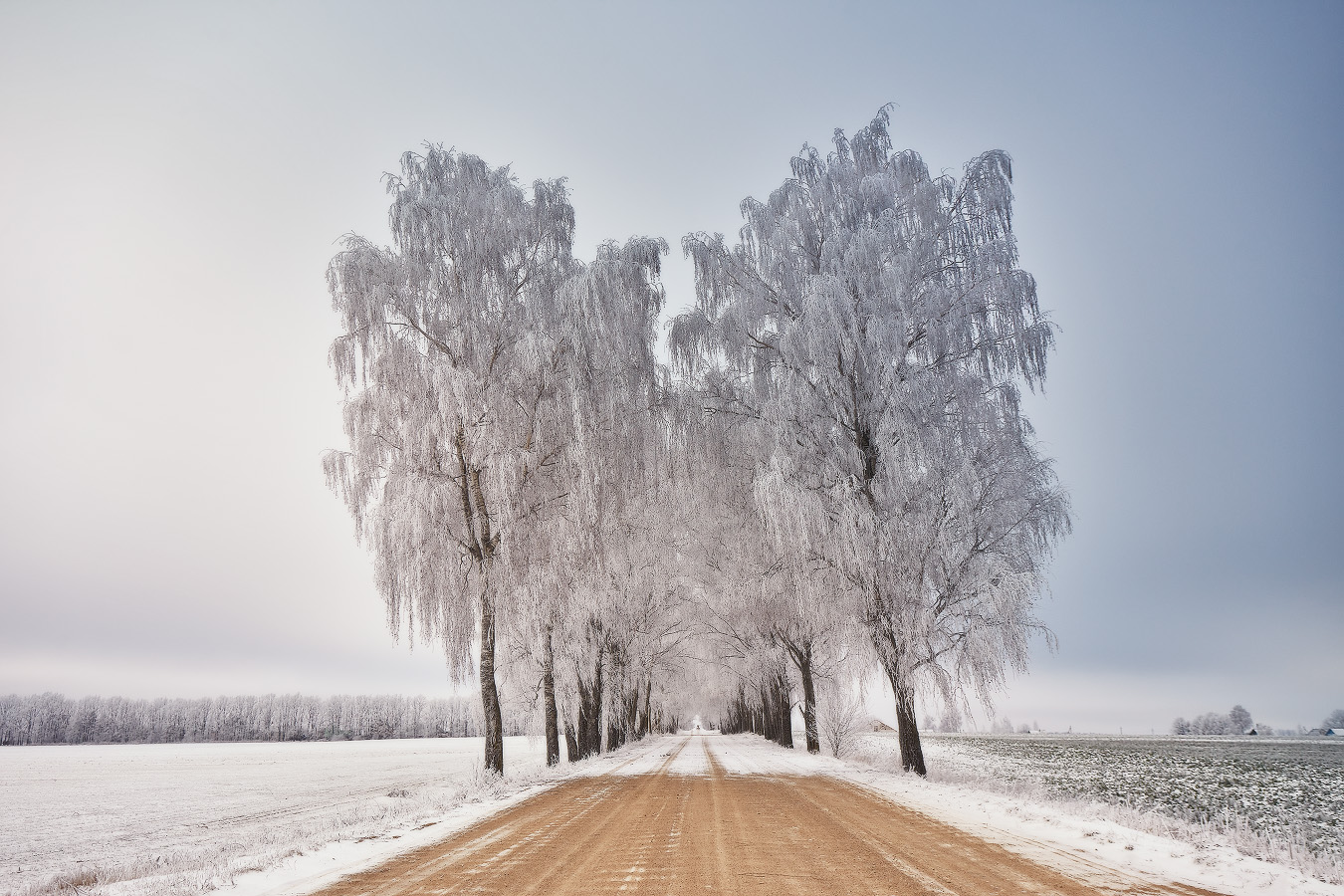 С Рождеством!