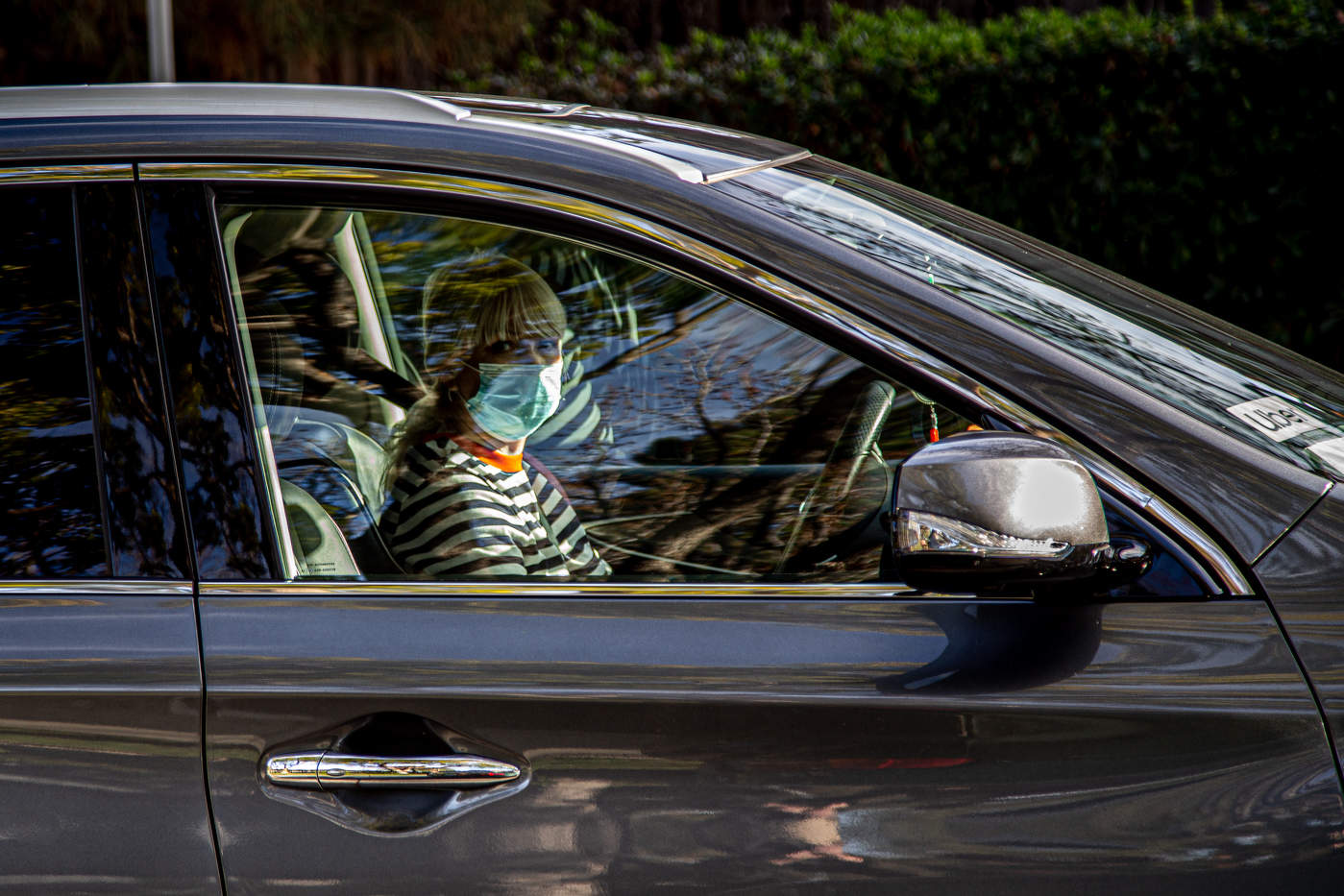 Полосатый рейс