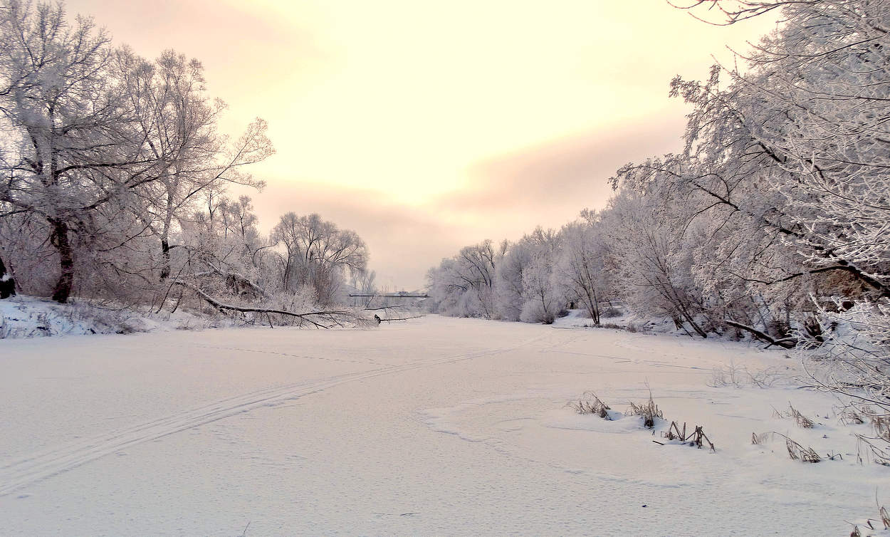 Зимний розовый рассвет