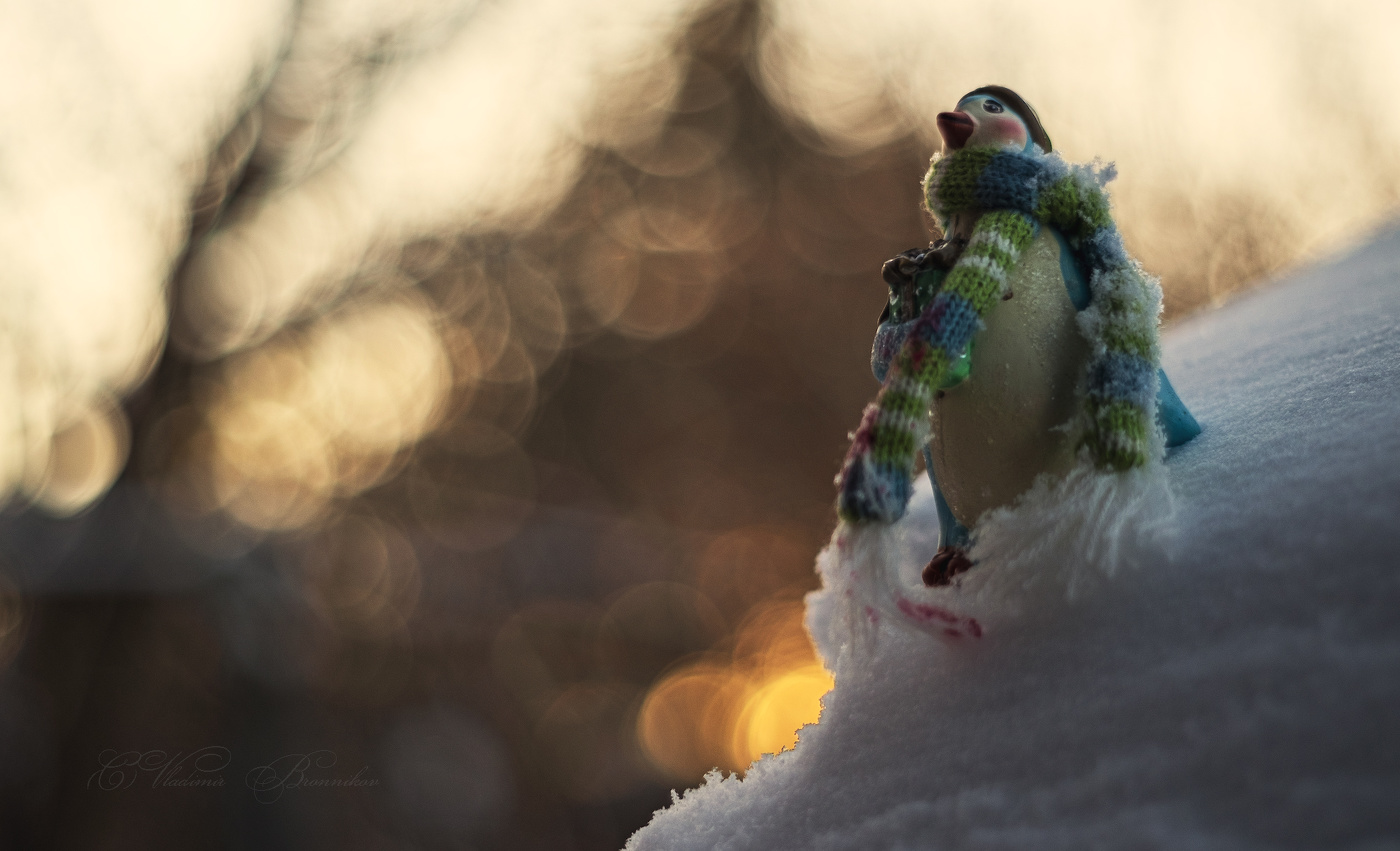 С Рождеством!