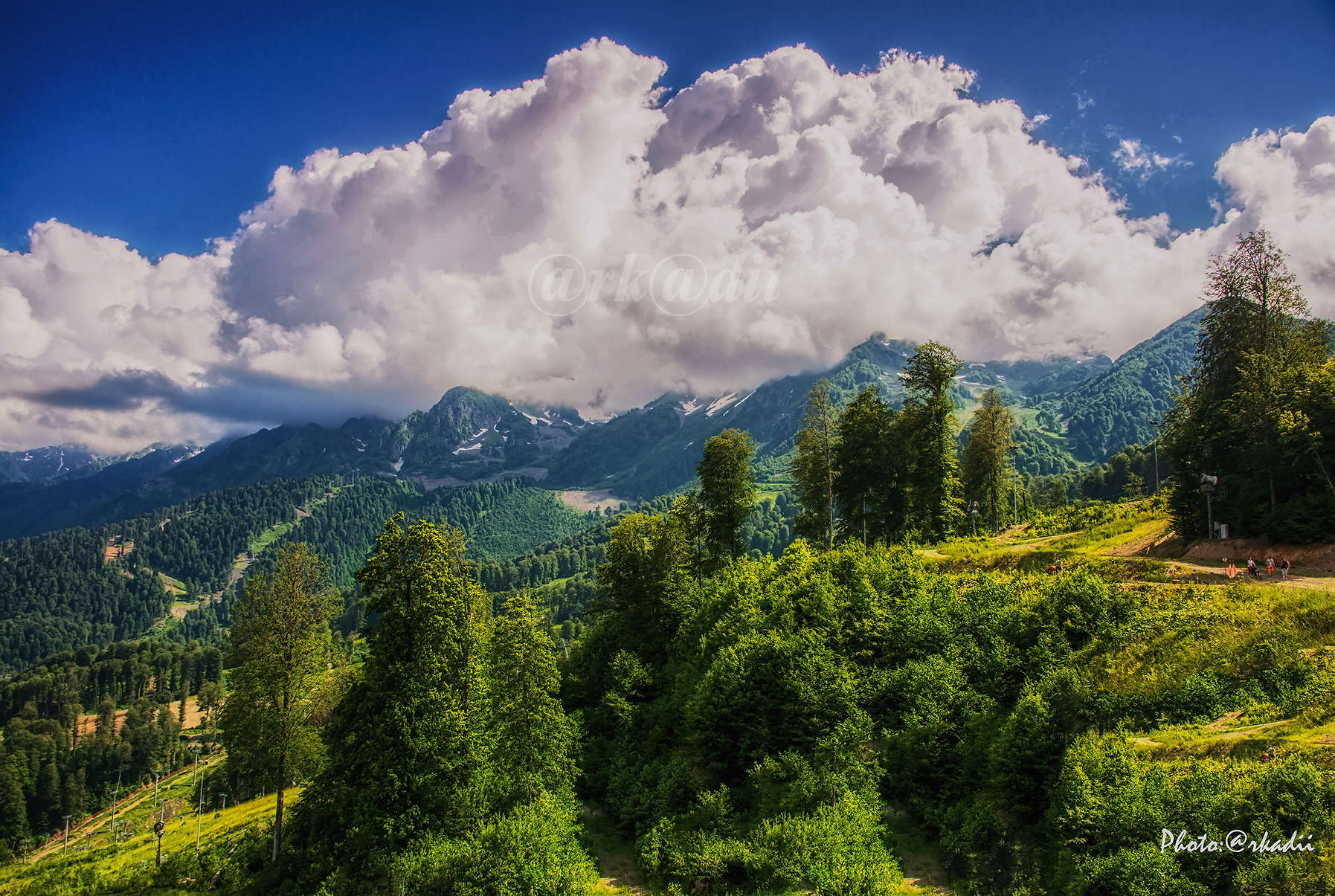 Лето! Ах, лето !