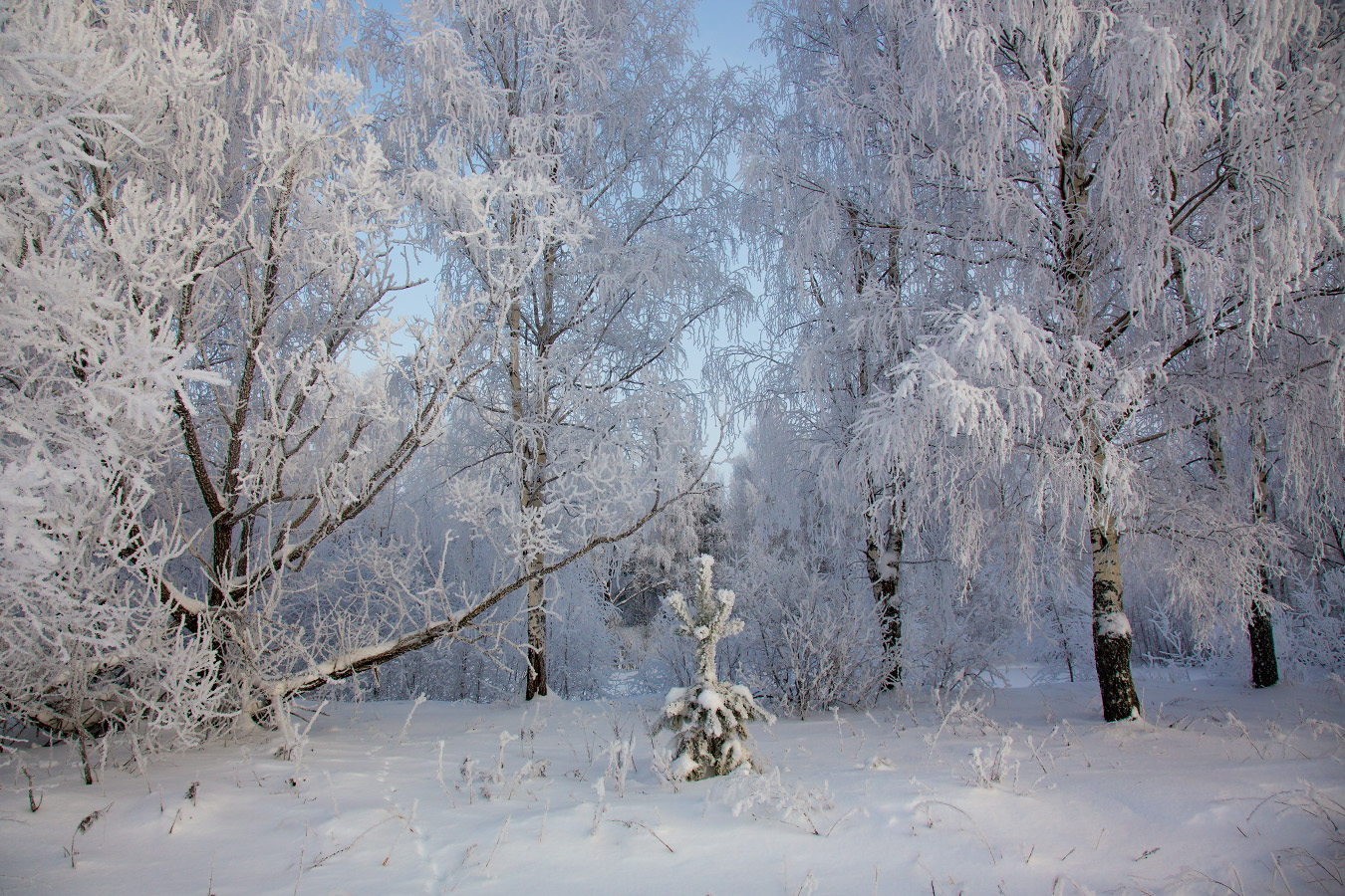 Принарядились.
