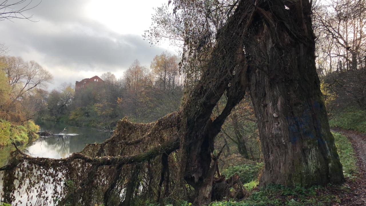 Dort, auf unbekannte Wege ...