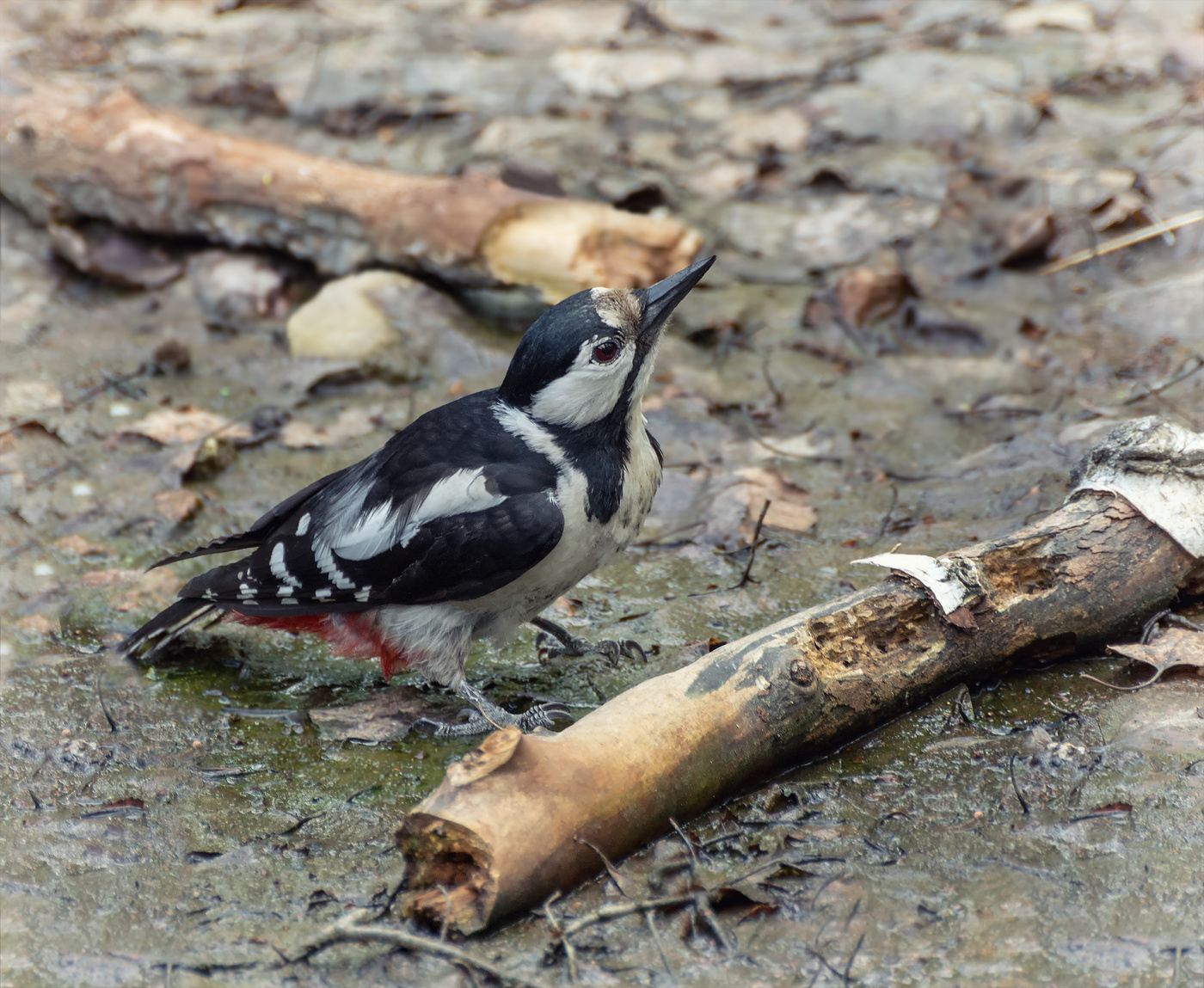 жара и жажда