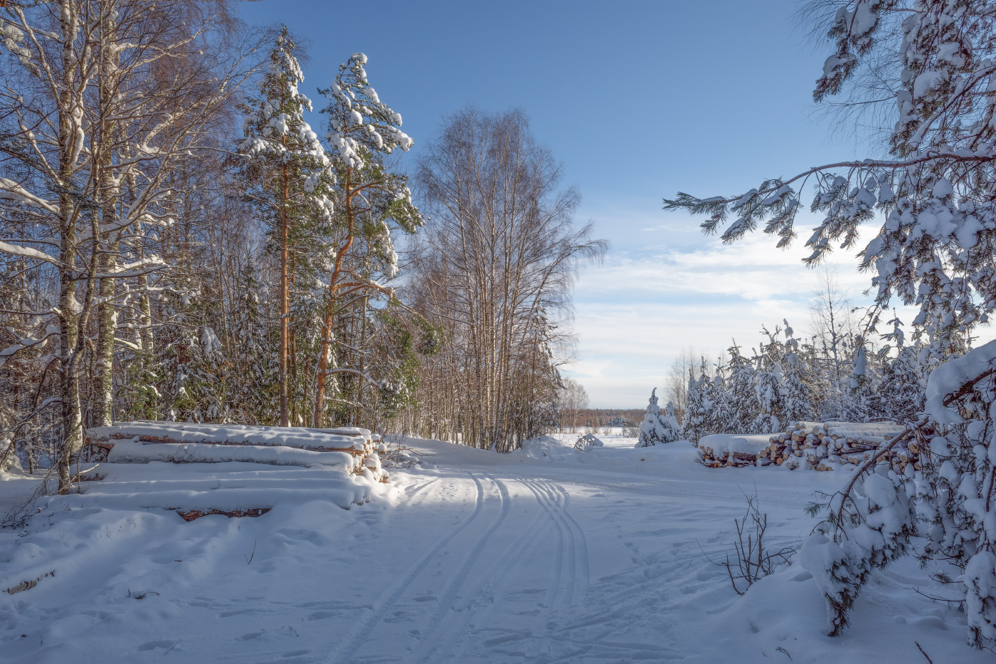 зимняя картинка