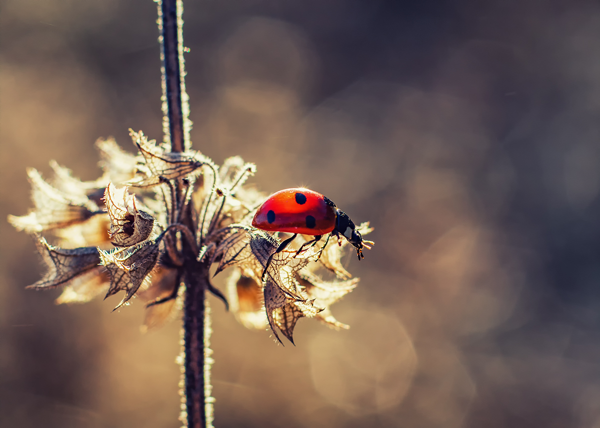 Потерянное лето