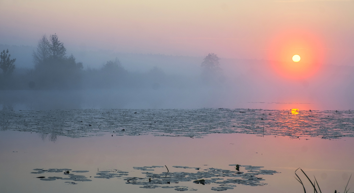 Озеро Сосновое.