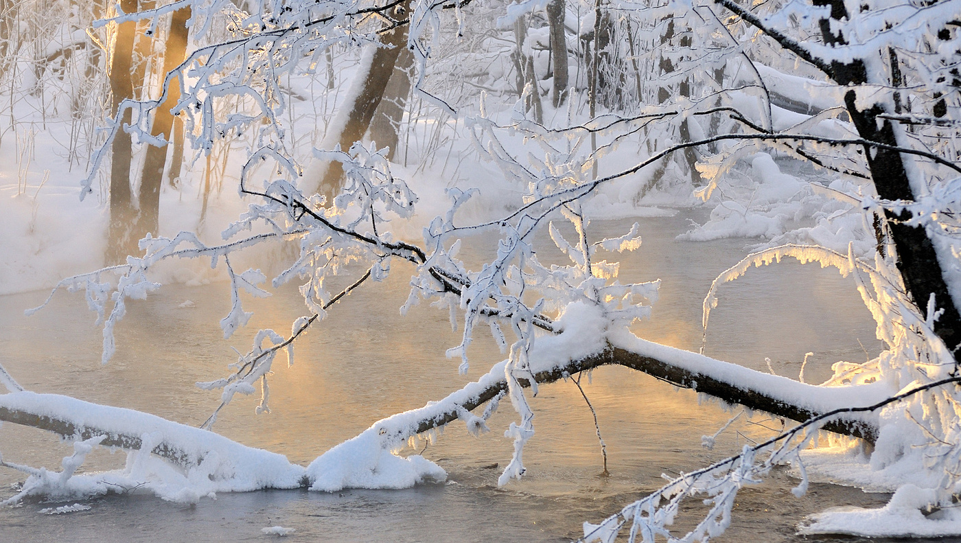 Свет меня позвал