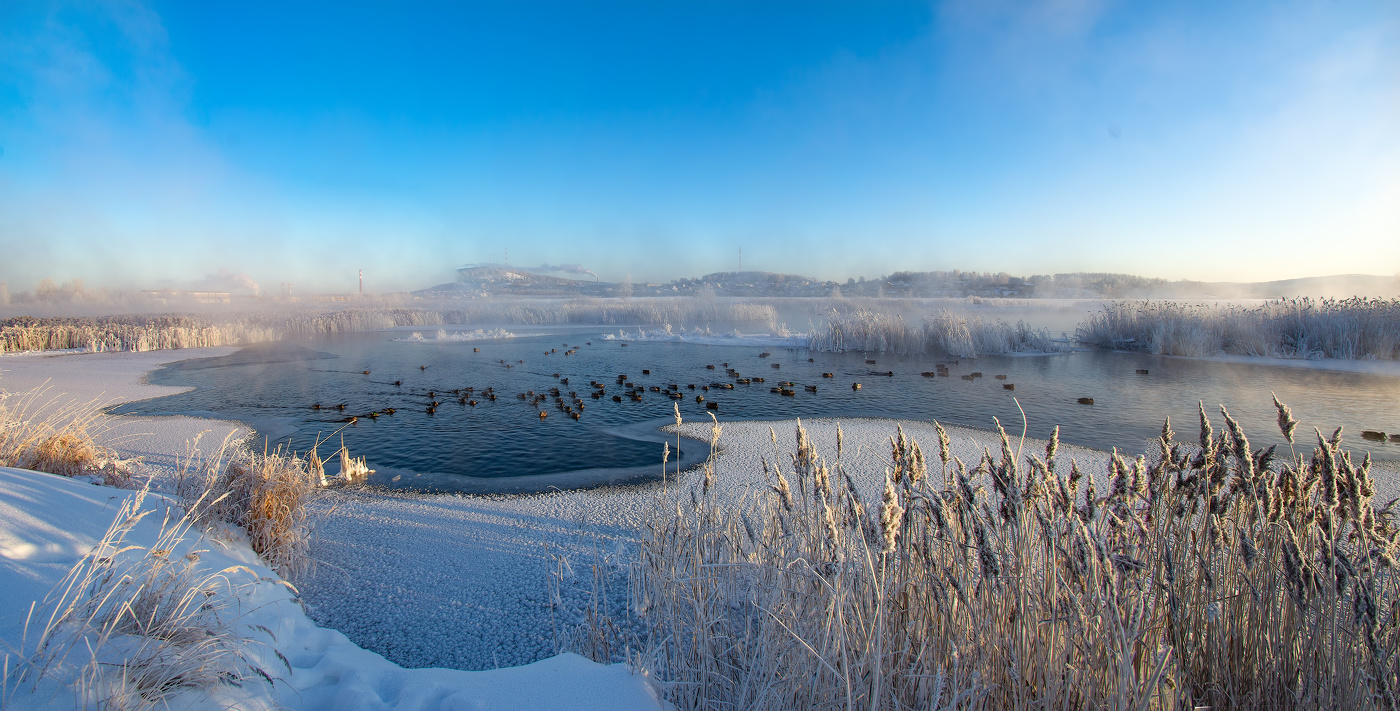 Последнее прибежище